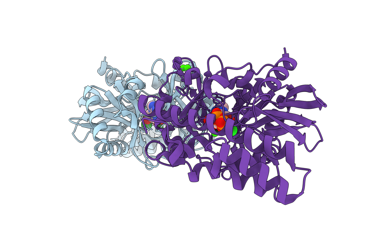 2C5U image