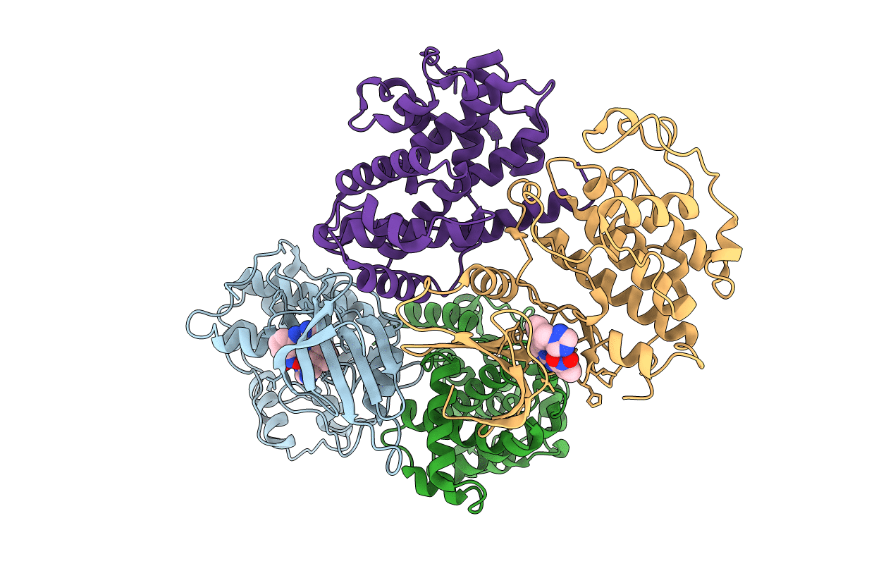 2C5X image