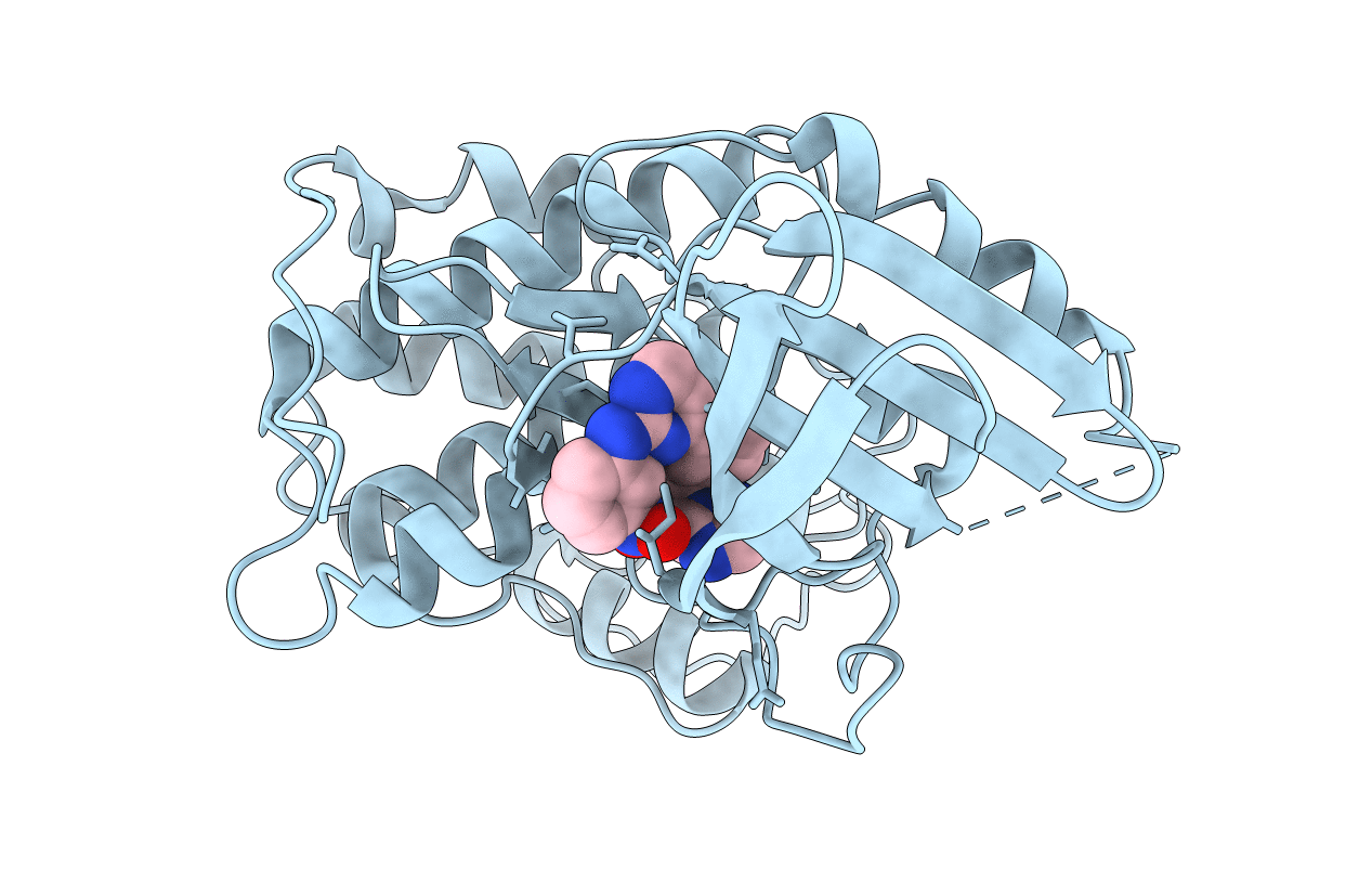 2C5Y image