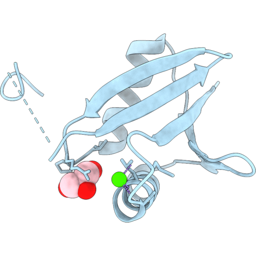 2C60 image