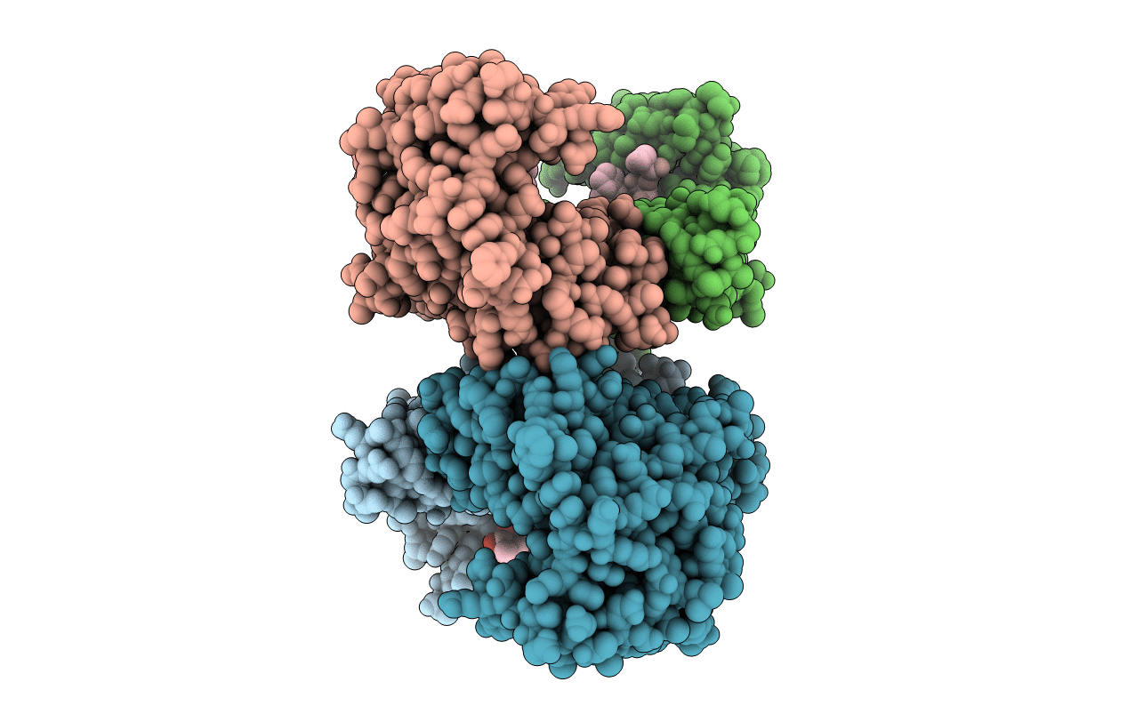 2C63 image