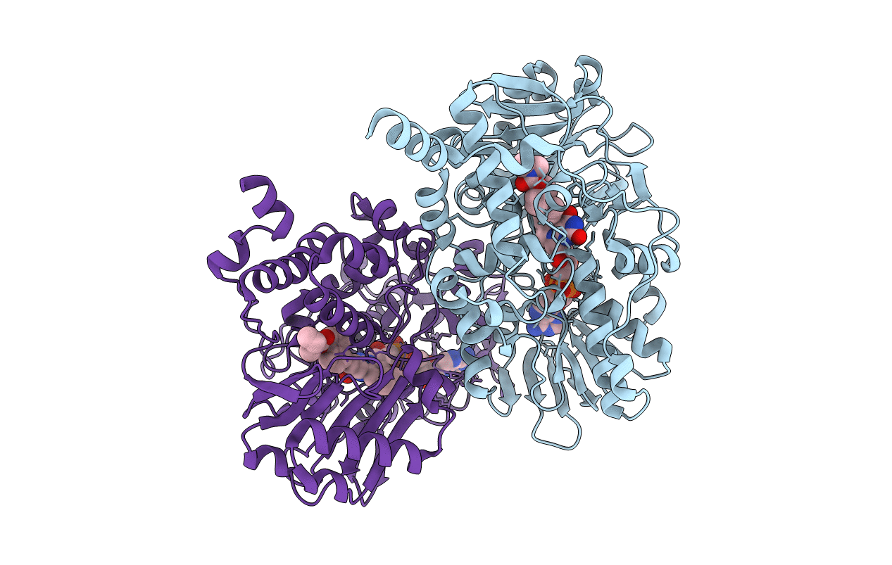 2C65 image