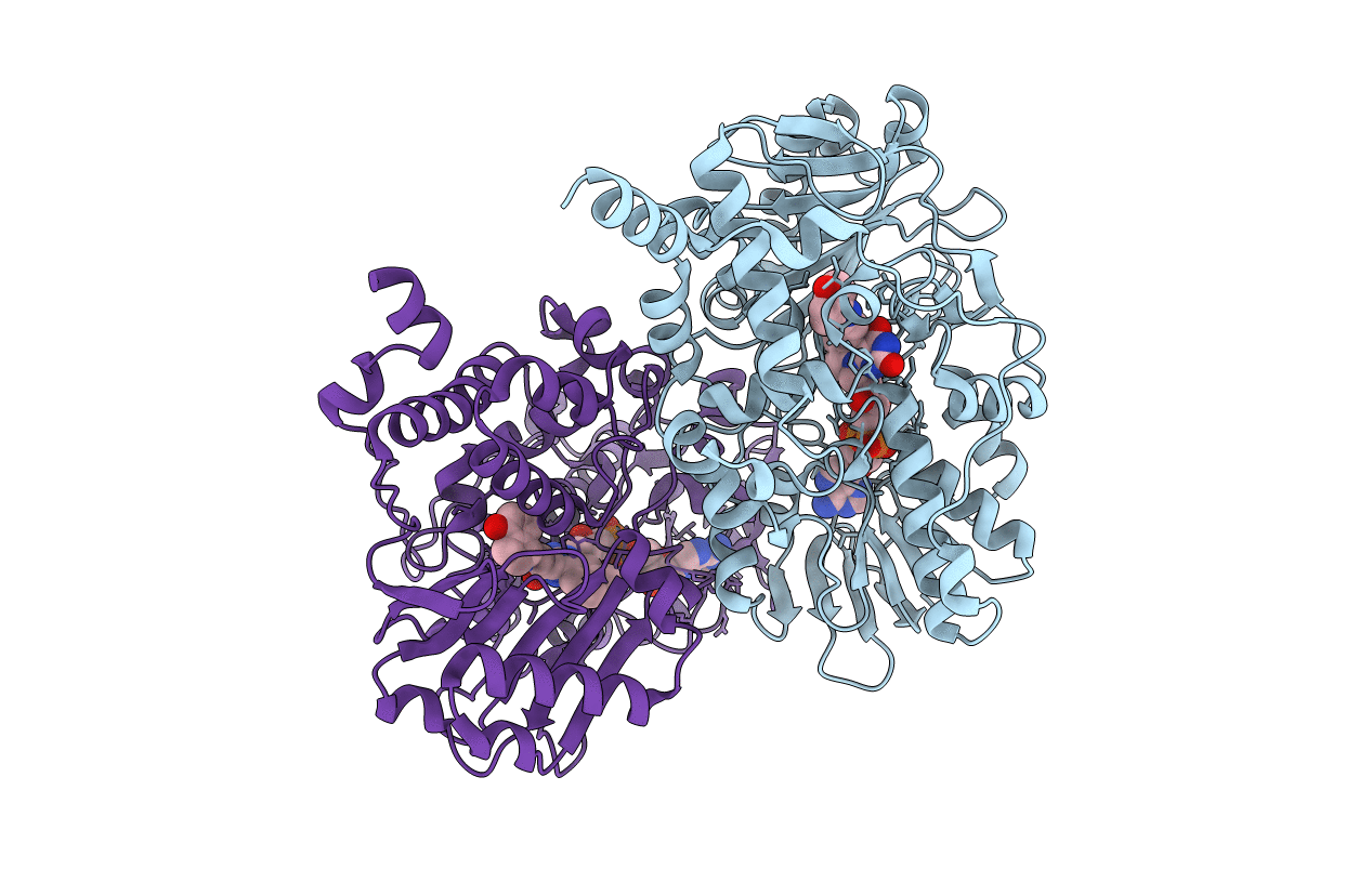 2C66 image