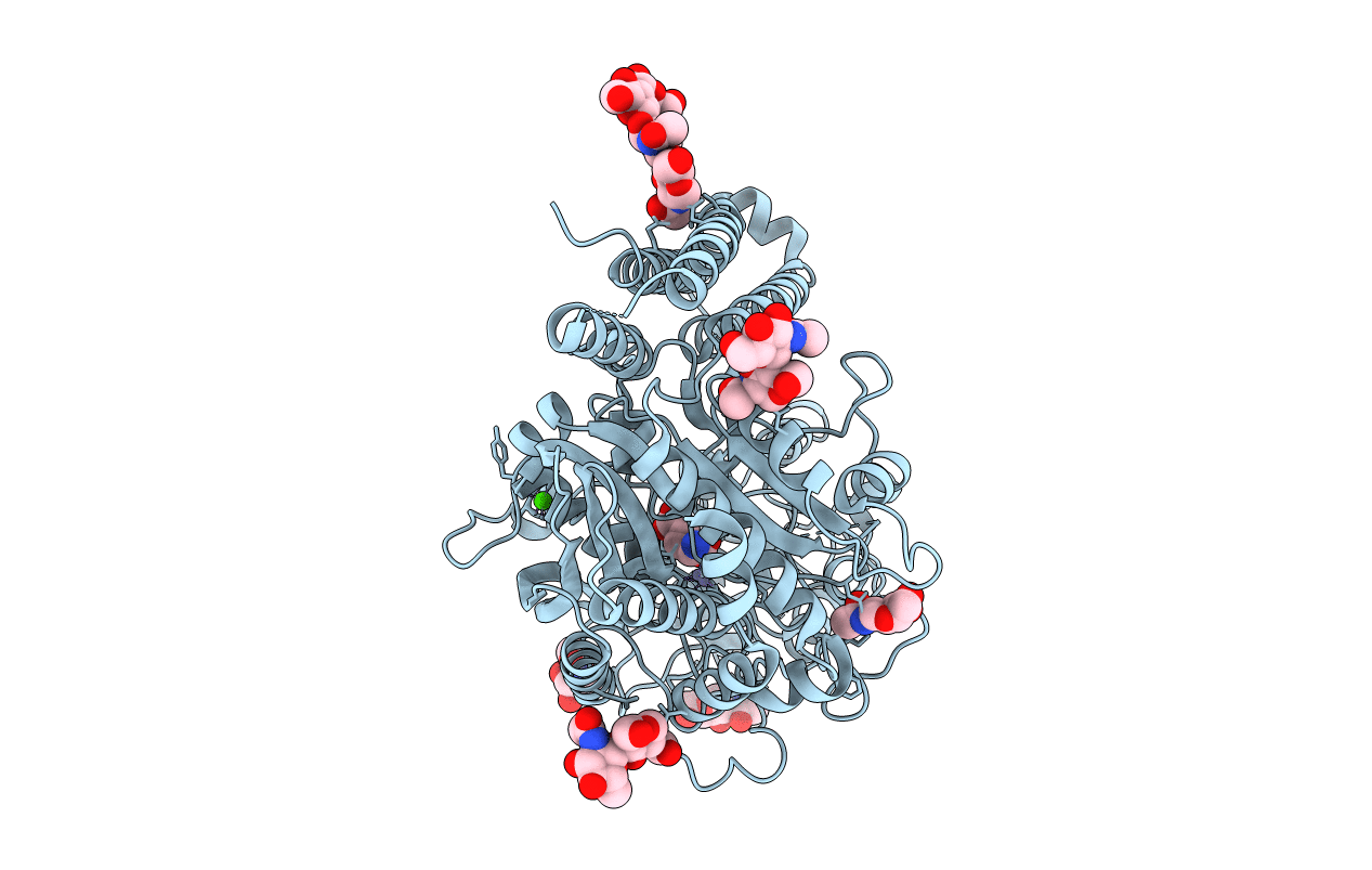 2C6G image