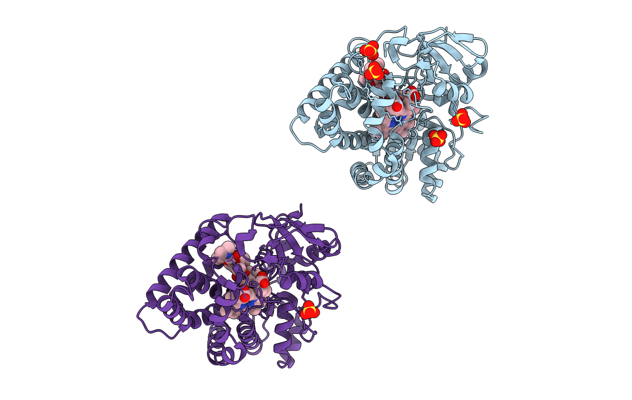 2C6H image