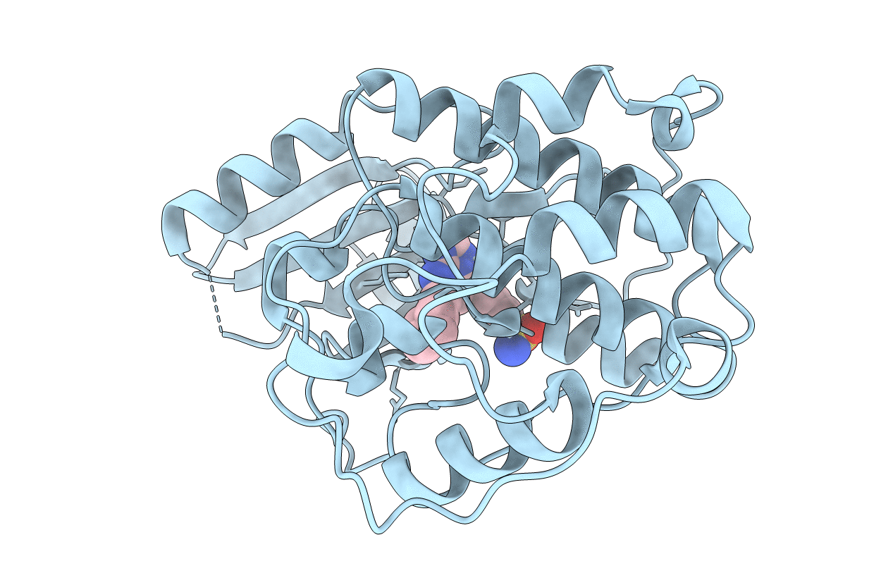 2C6I image
