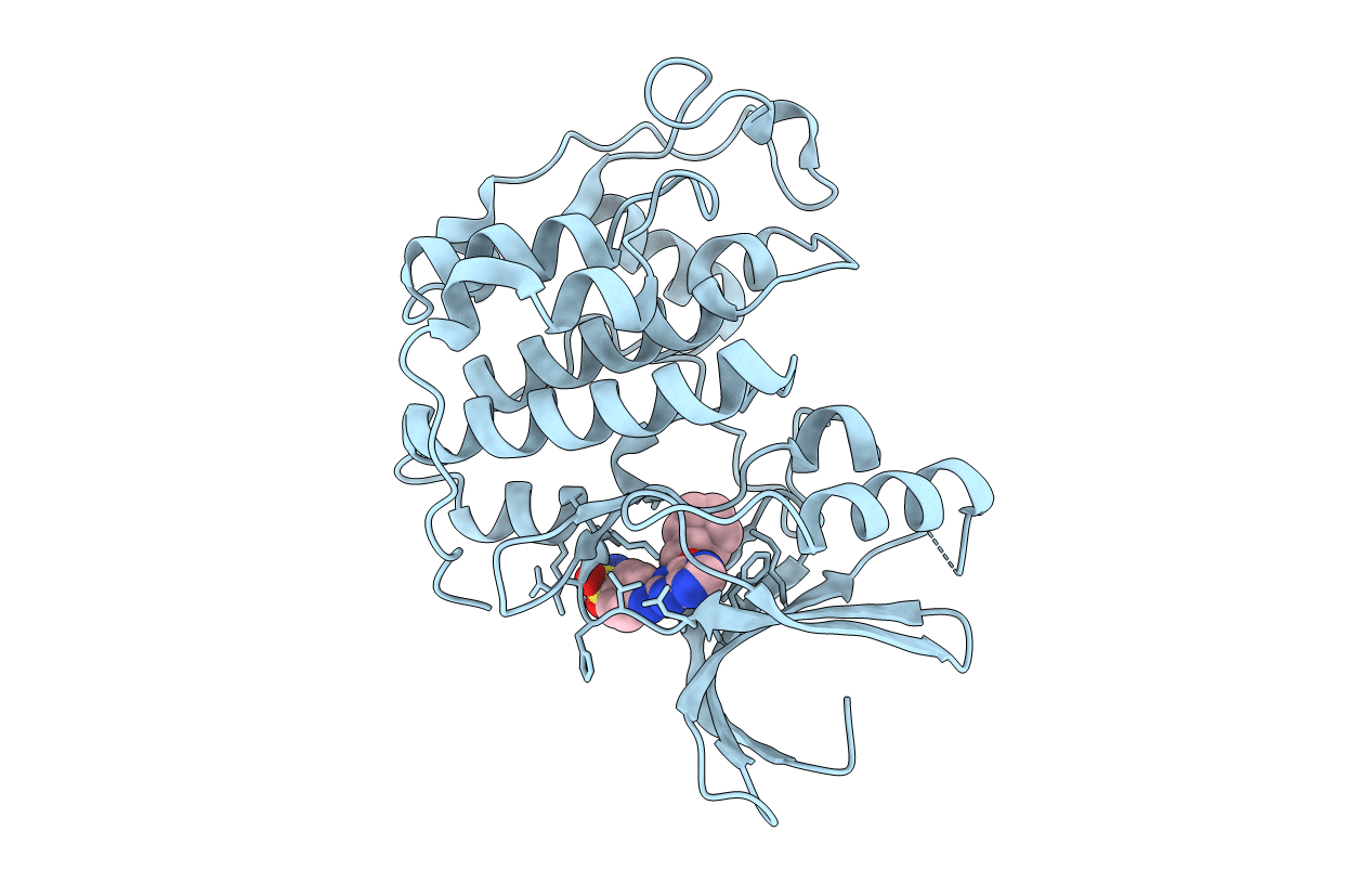 2C6O image