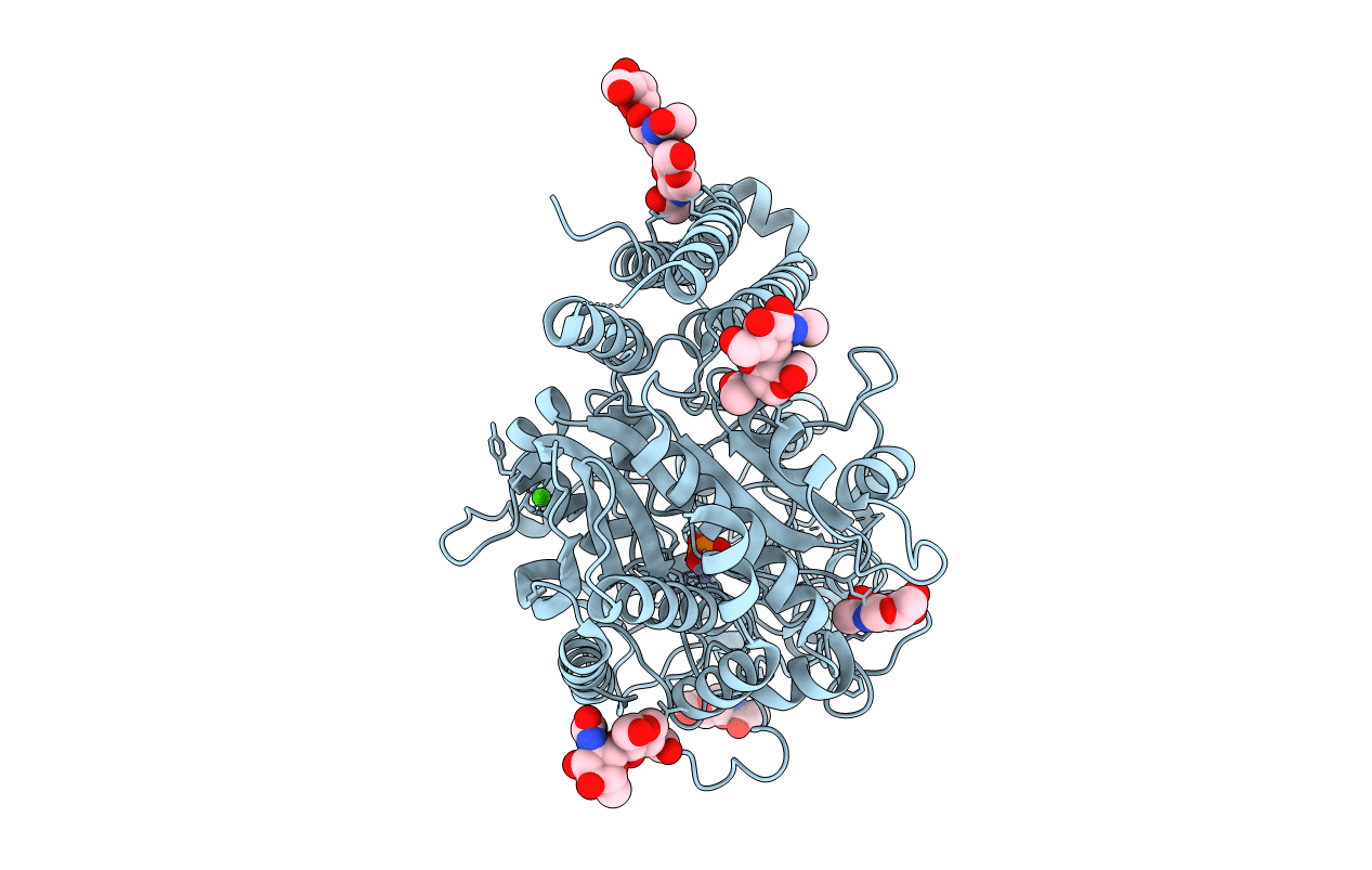 2C6P image
