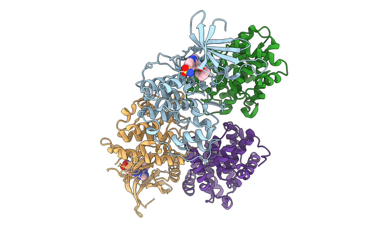 2C6T image