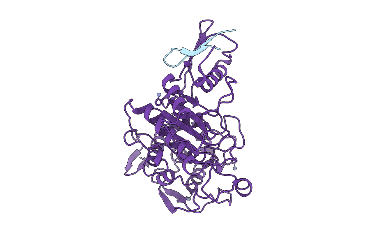 2C6W image