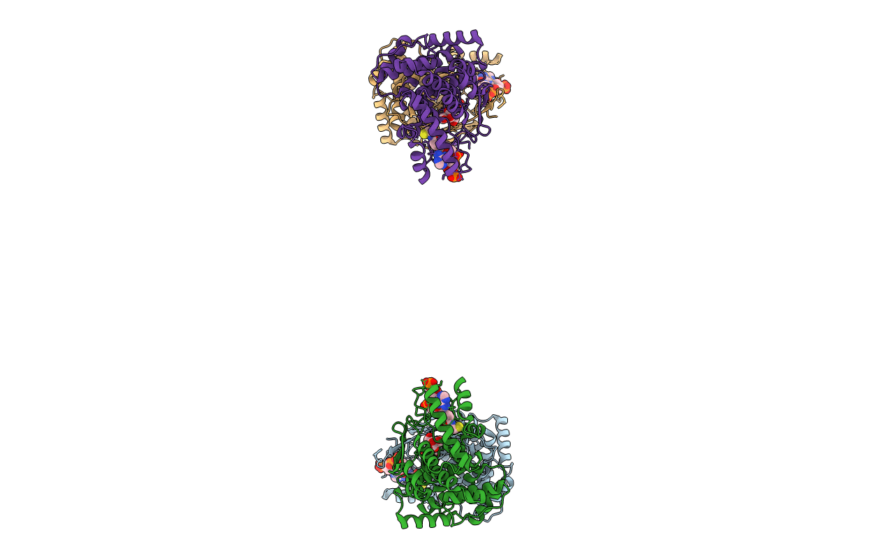 2C6X image