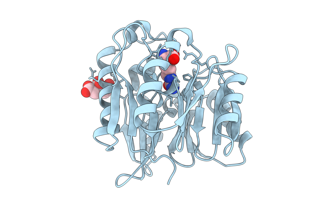 2C6Z image