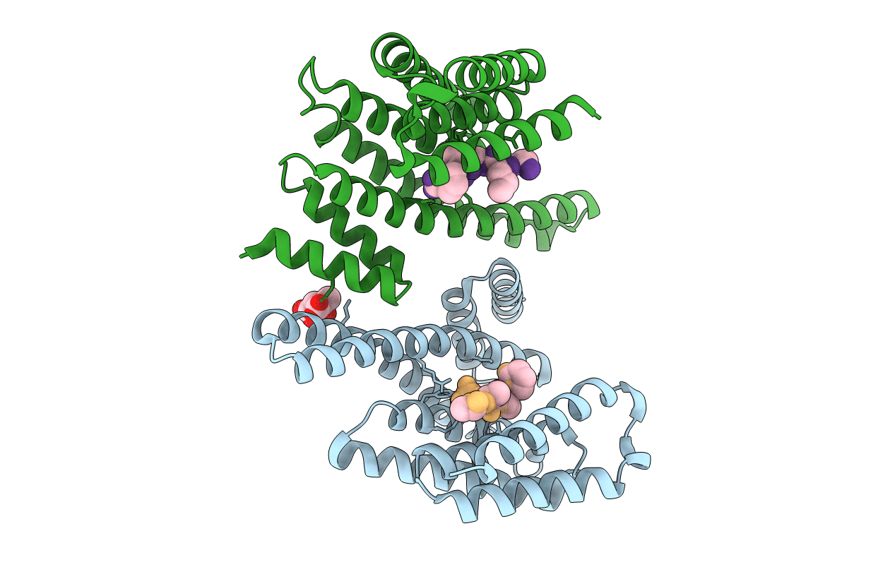 2C74 image