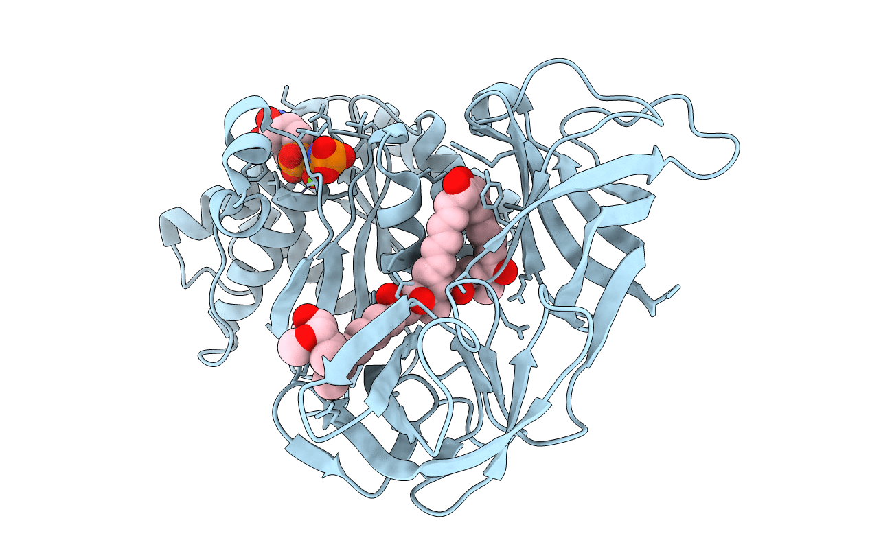 2C78 image