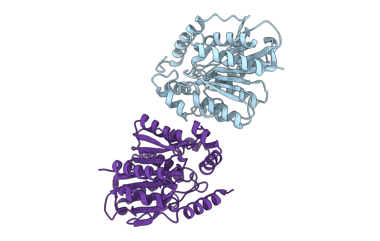 2C7B image