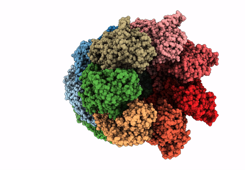 2C7D image
