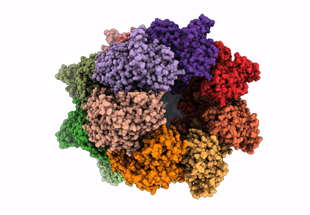 2C7E image