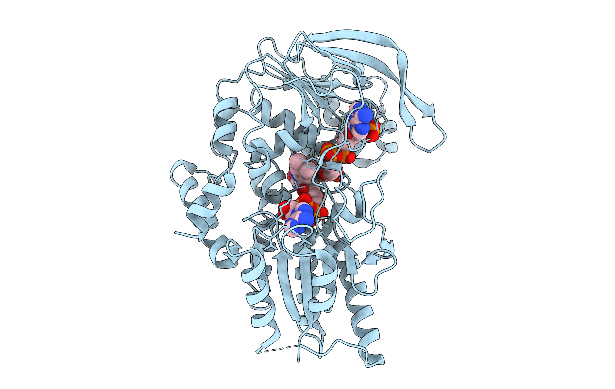 2C7G image