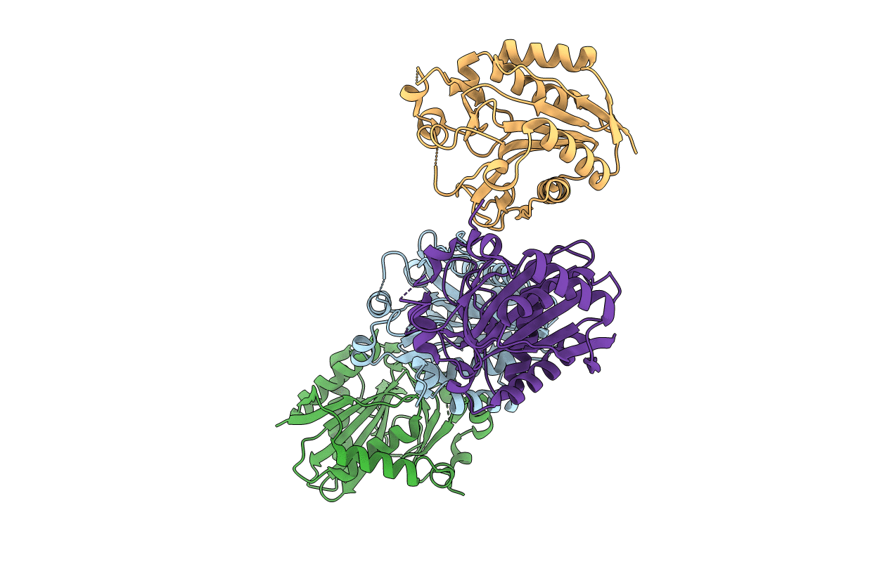 2C7I image