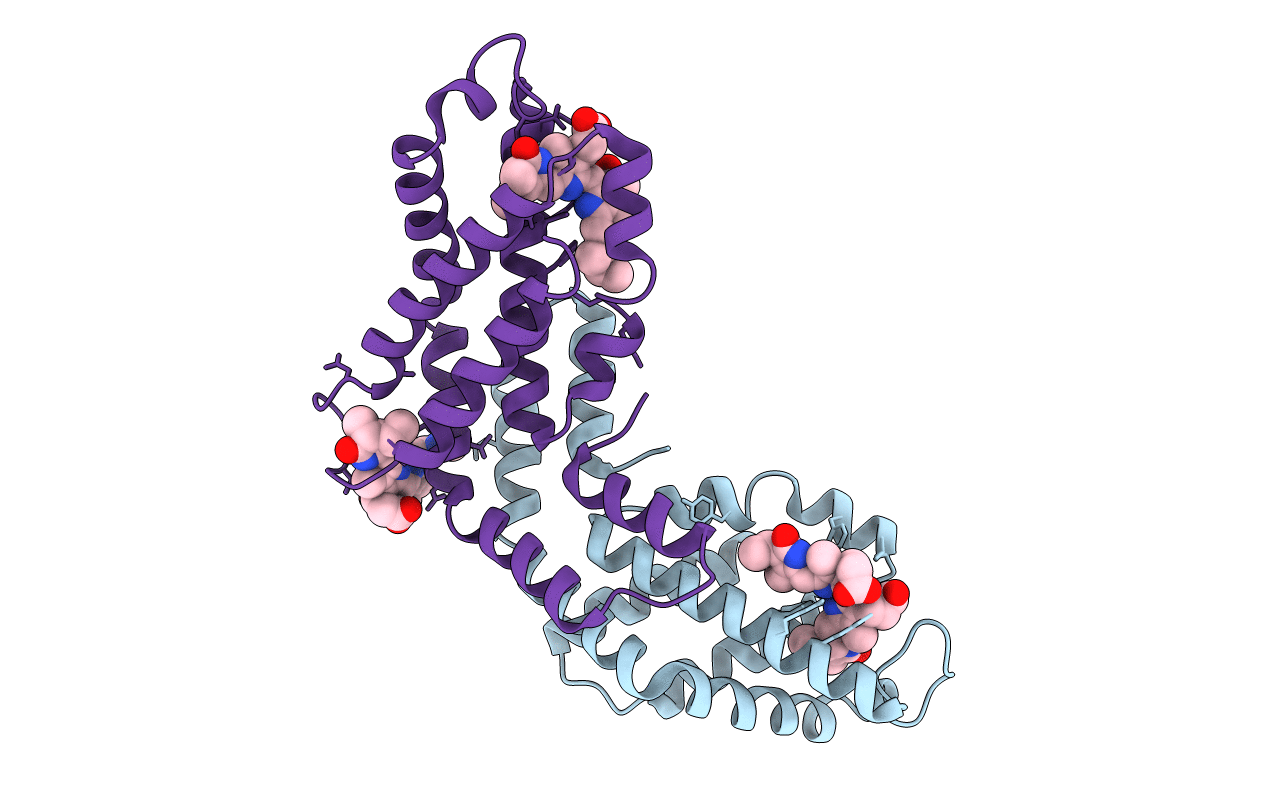 2C7L image