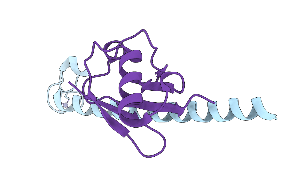 2C7M image