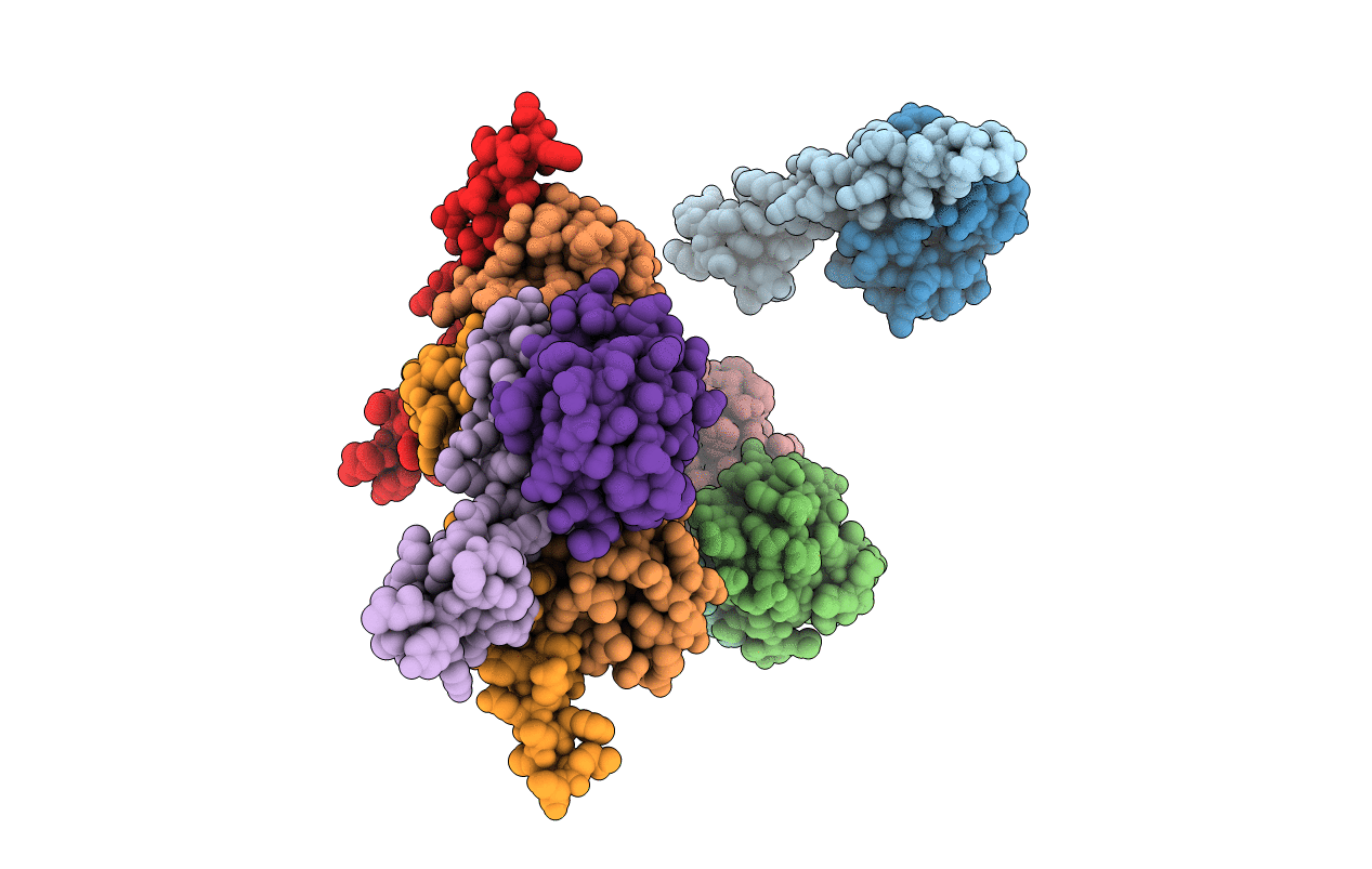 2C7N image