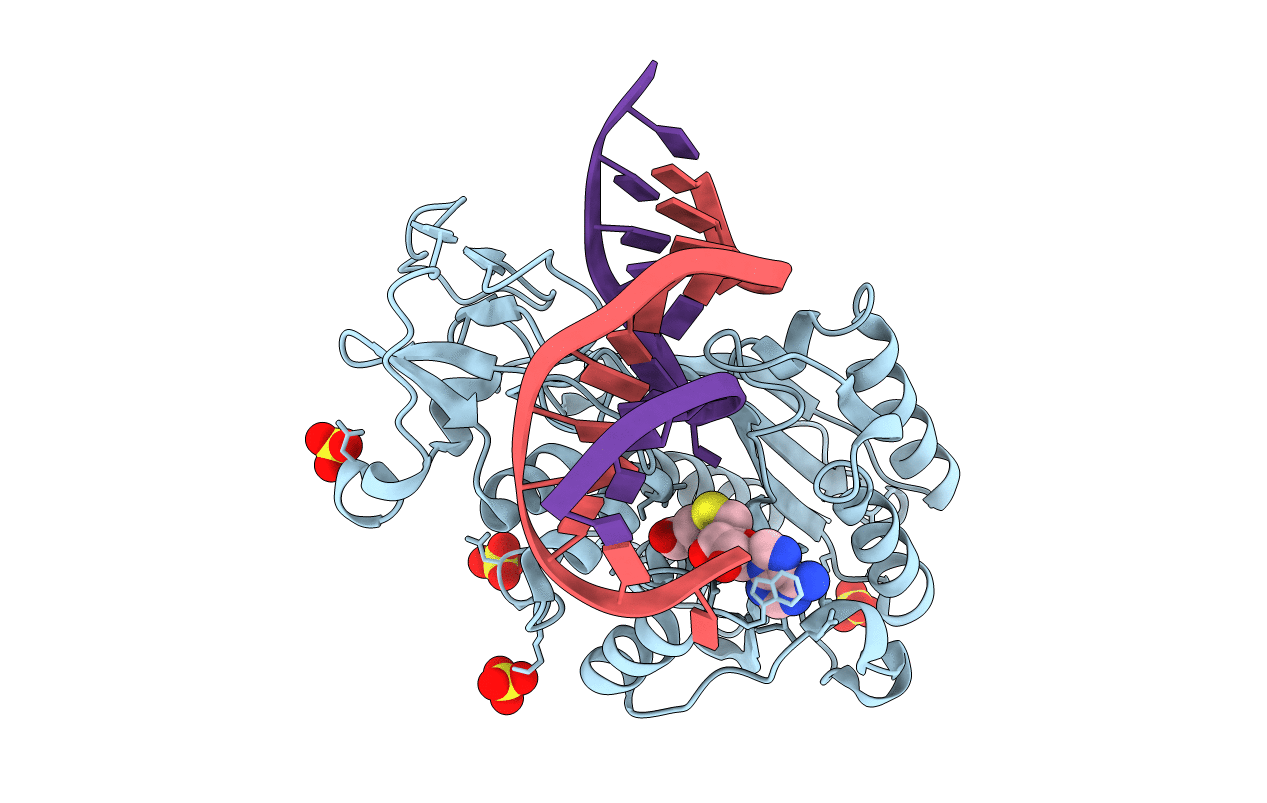 2C7O image