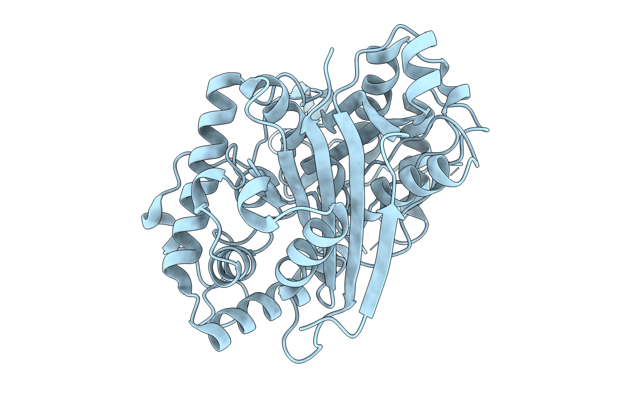2C7Z image