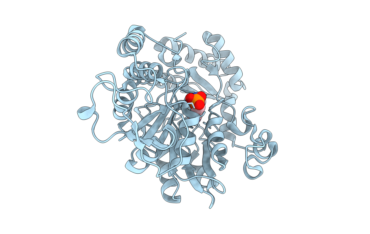 2C81 image
