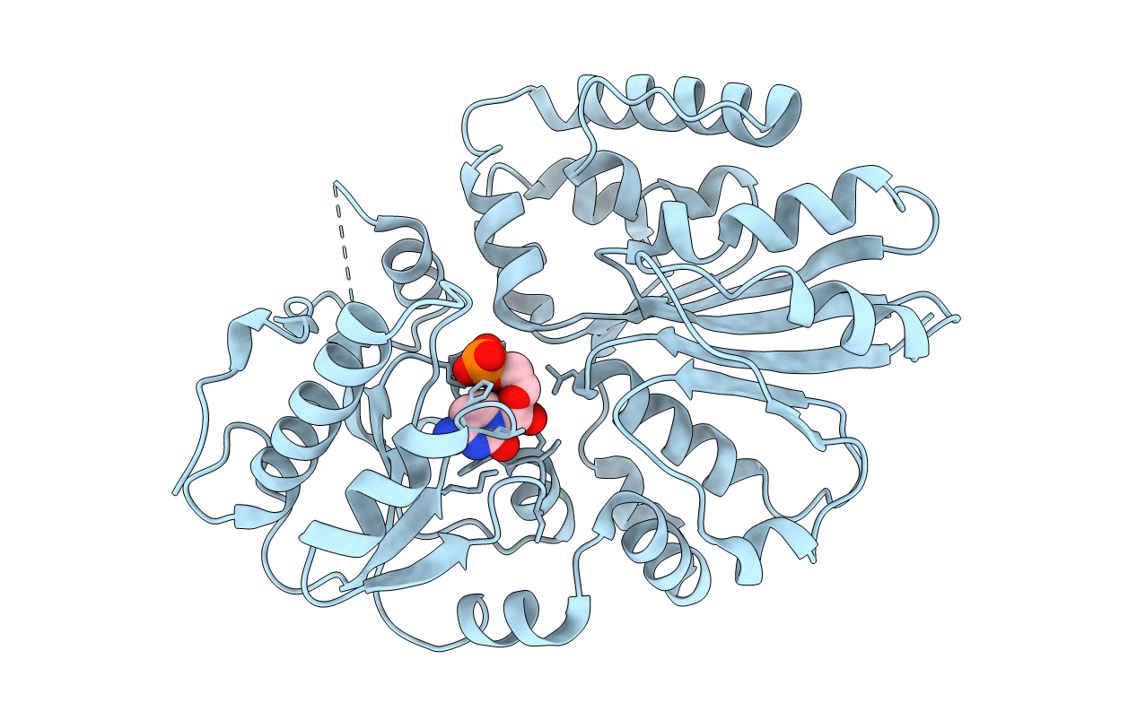 2C84 image
