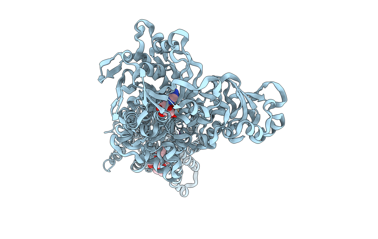 2C88 image
