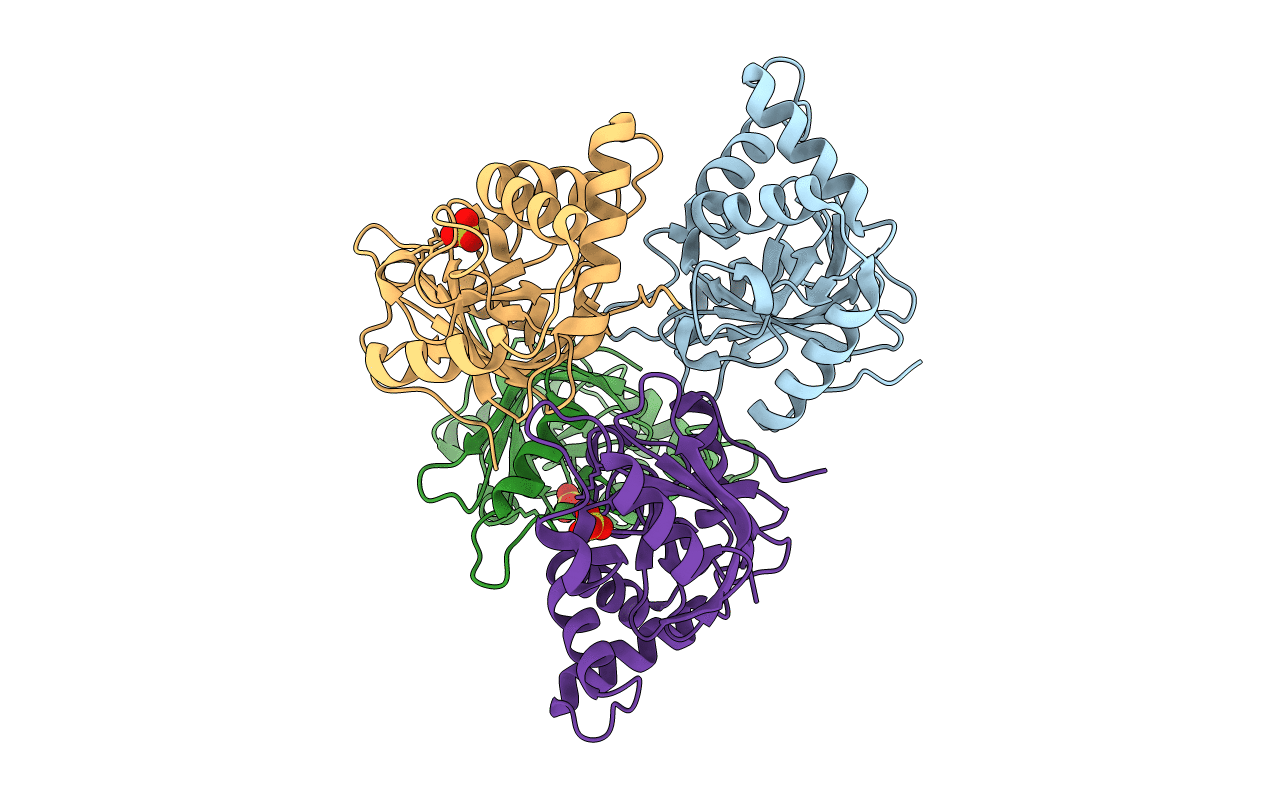 2C89 image