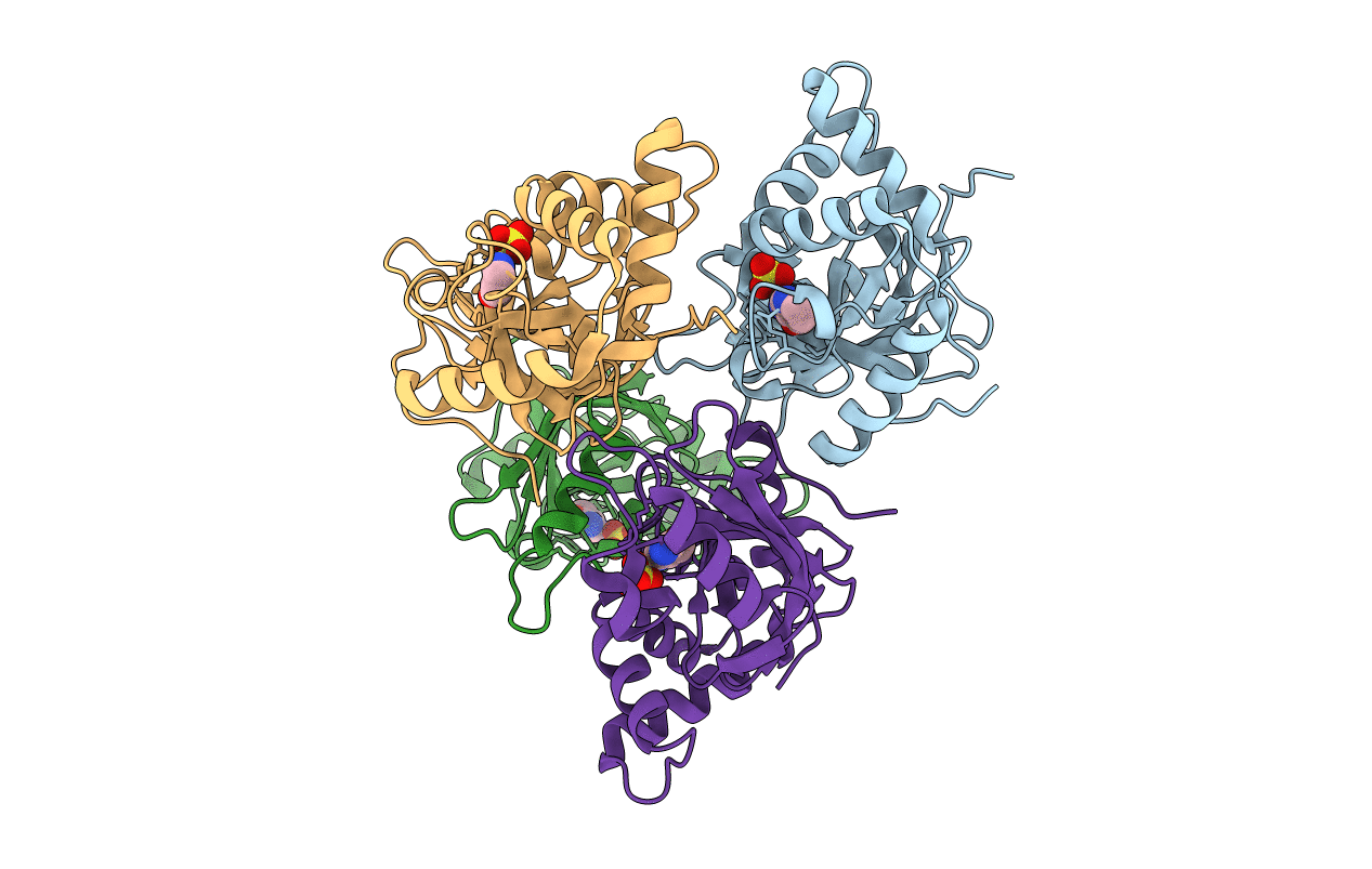 2C8A image