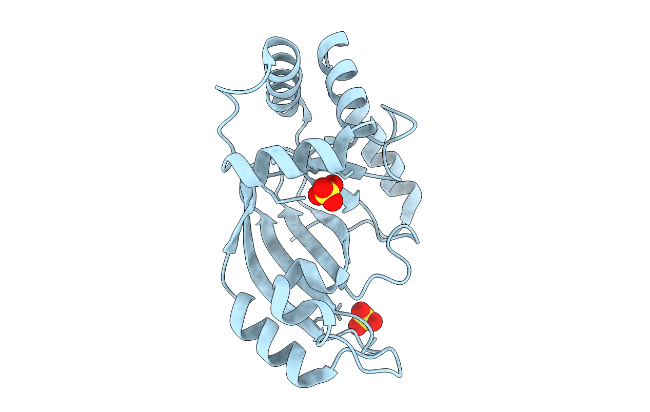 2C8B image