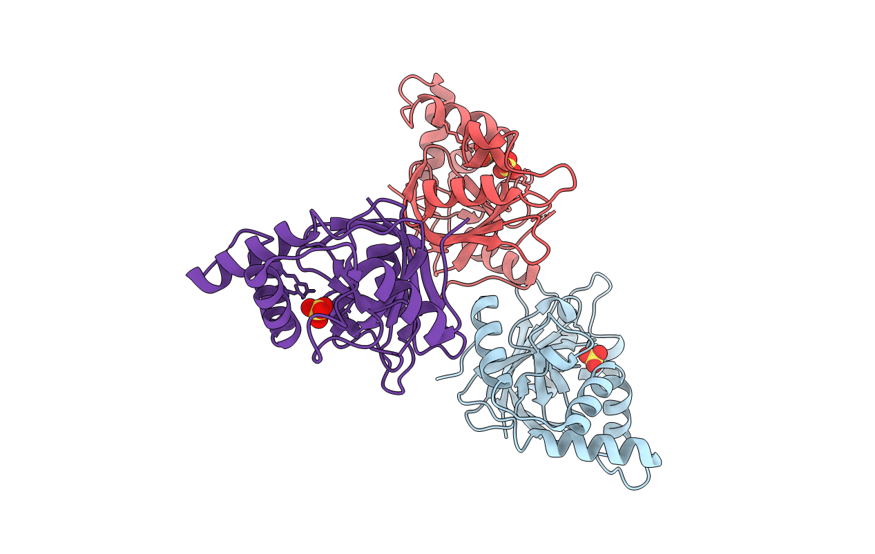 2C8E image