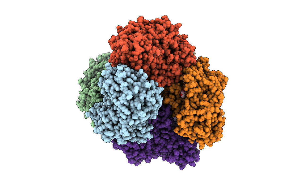 2C8N image