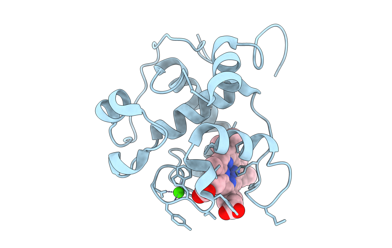 2C8S image