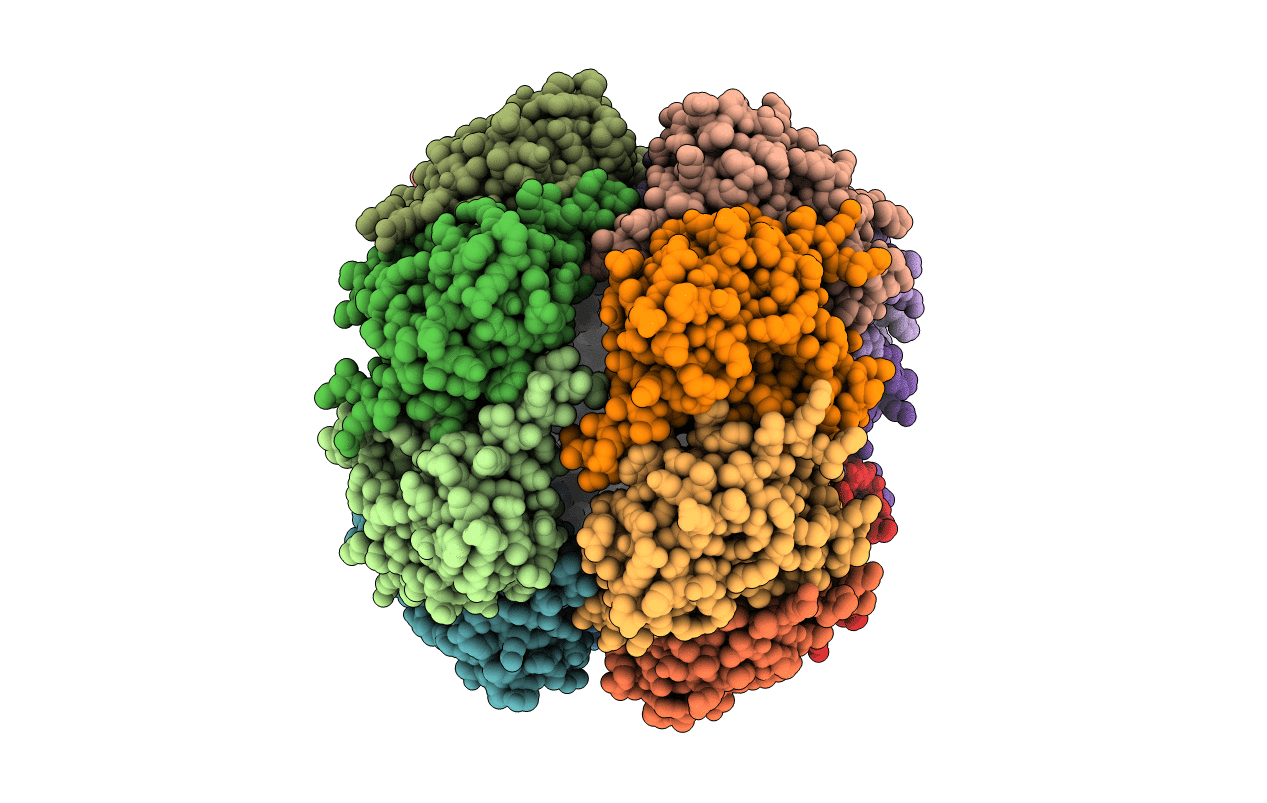 2C8T image