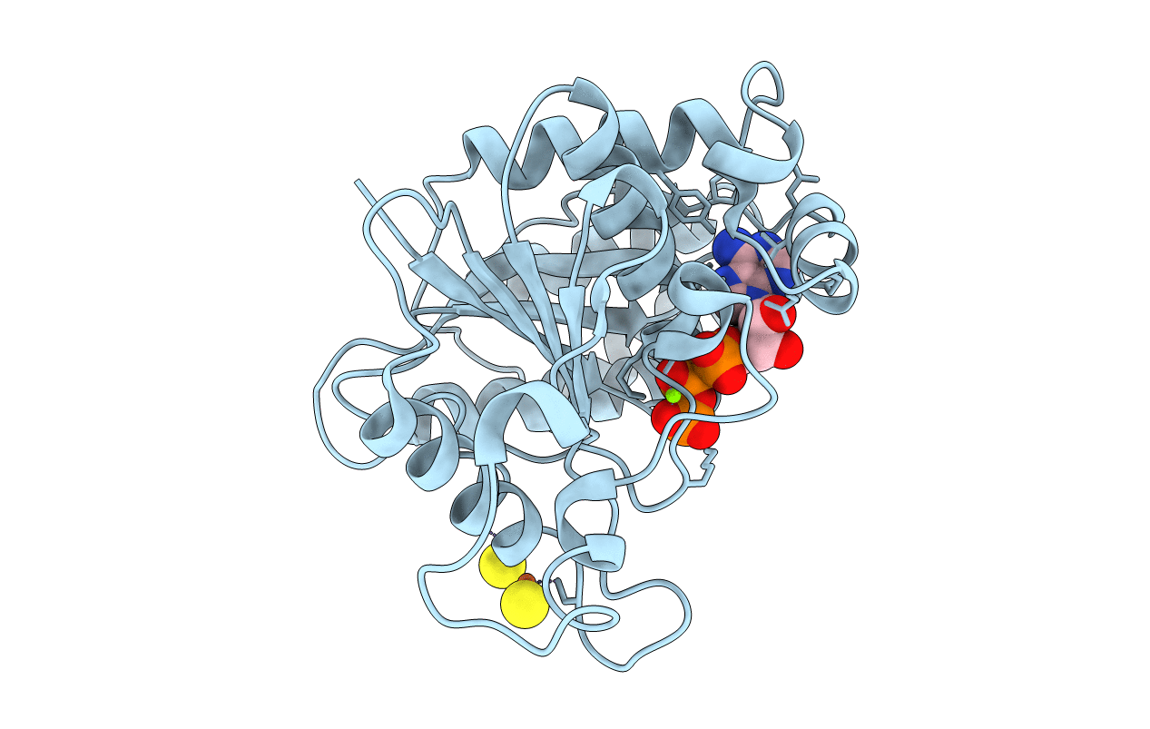 2C8V image