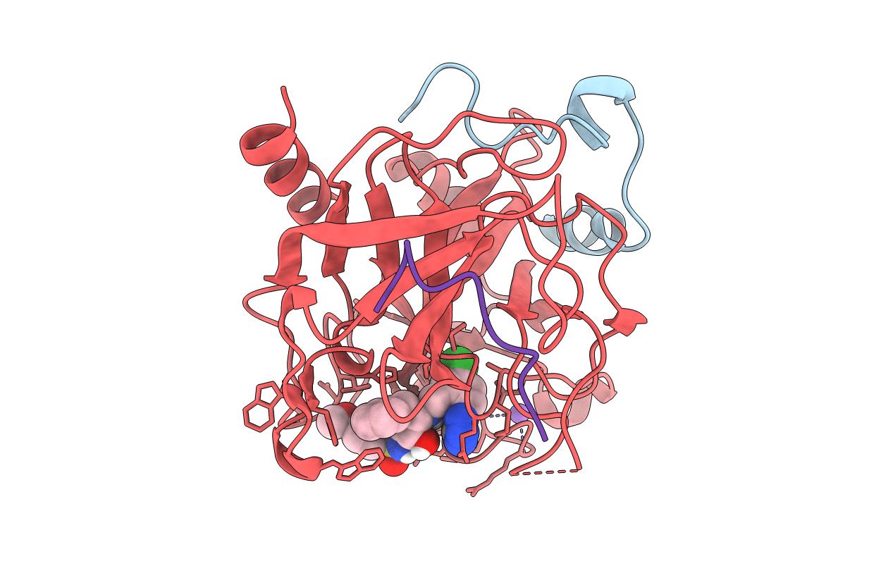 2C8W image