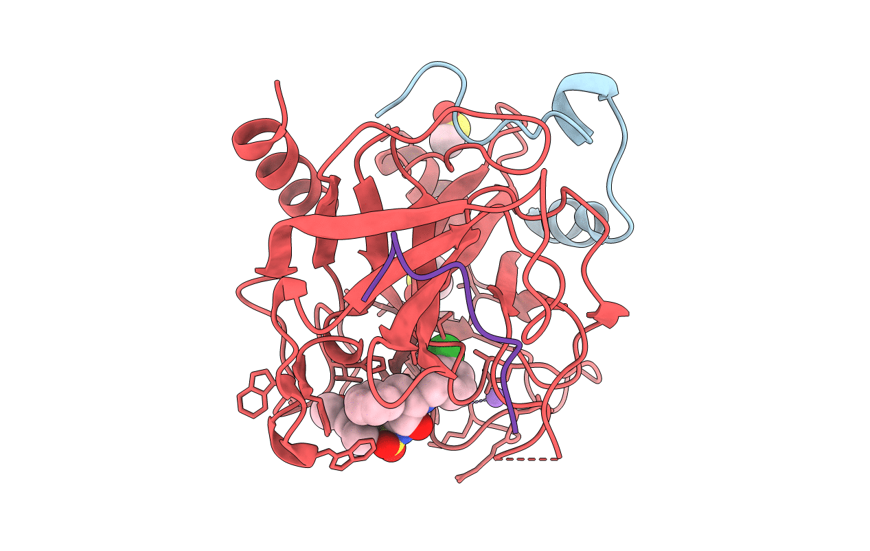 2C8X image