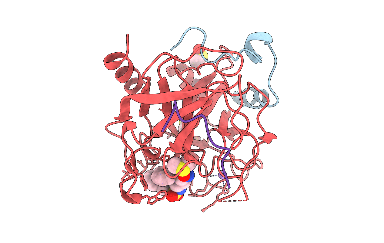 2C8Y image