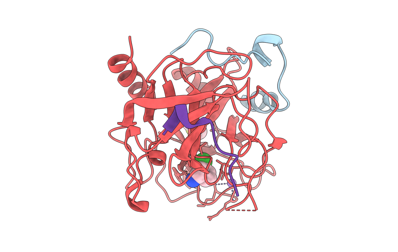 2C8Z image