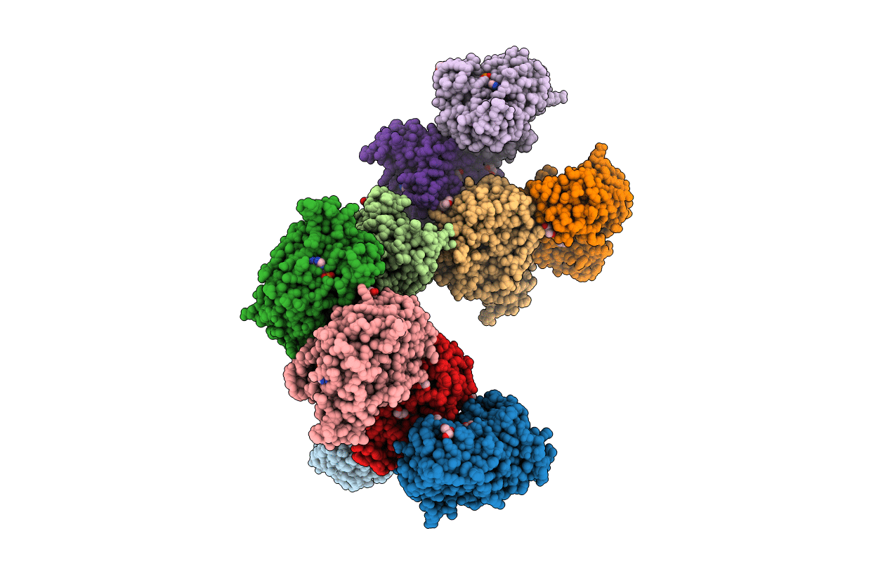 2C91 image