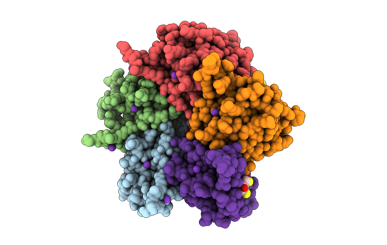 2C92 image