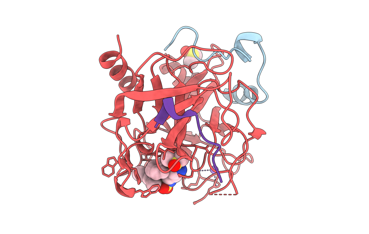 2C93 image
