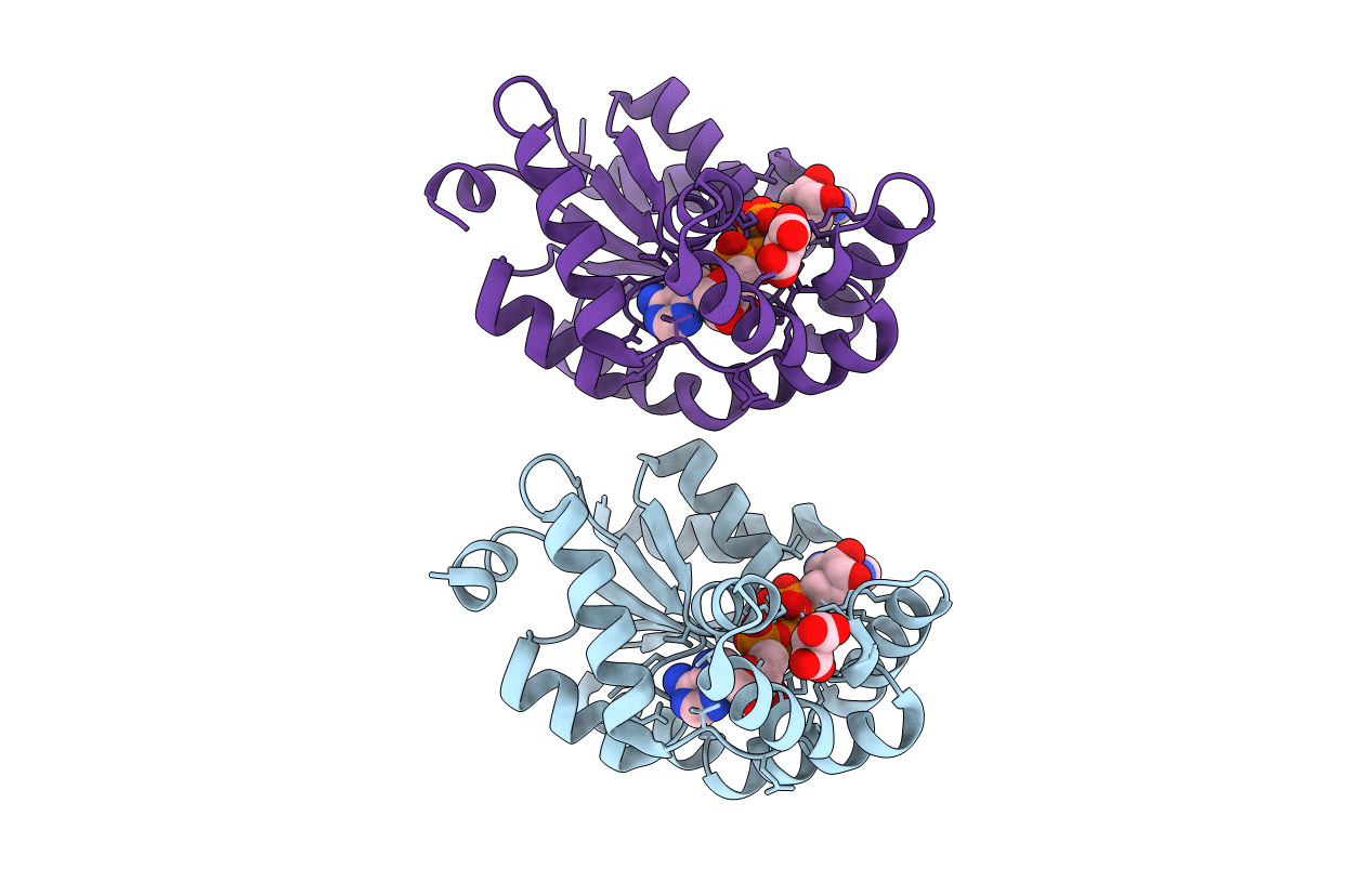 2C95 image