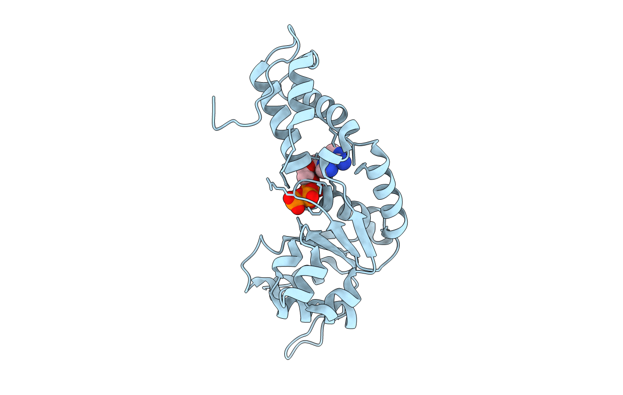 2C96 image