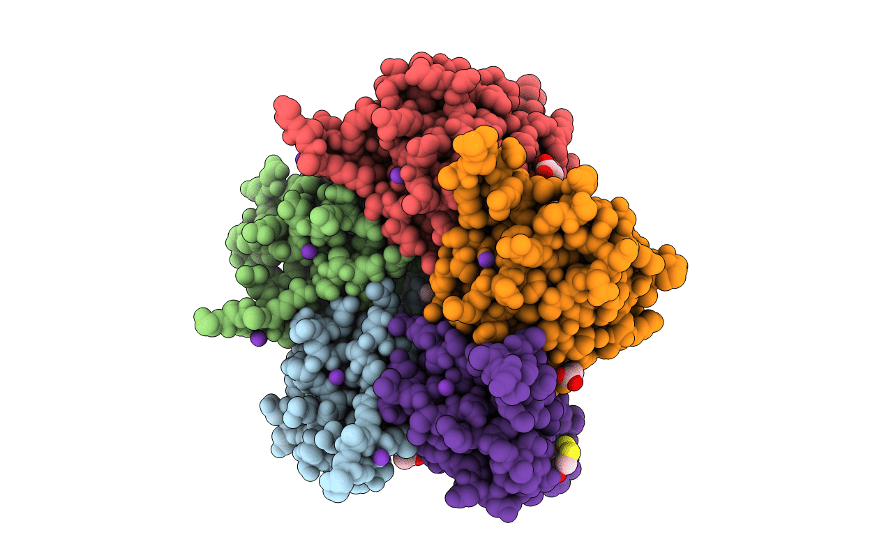 2C97 image
