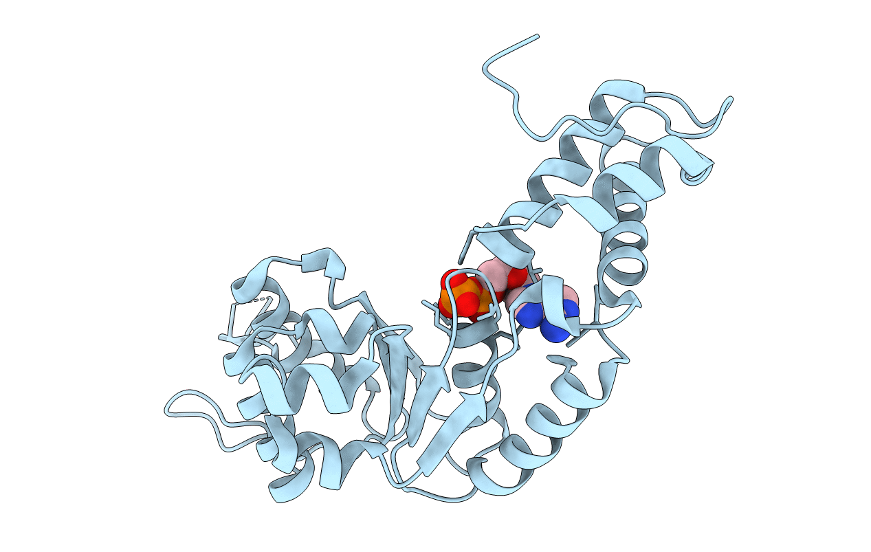 2C98 image